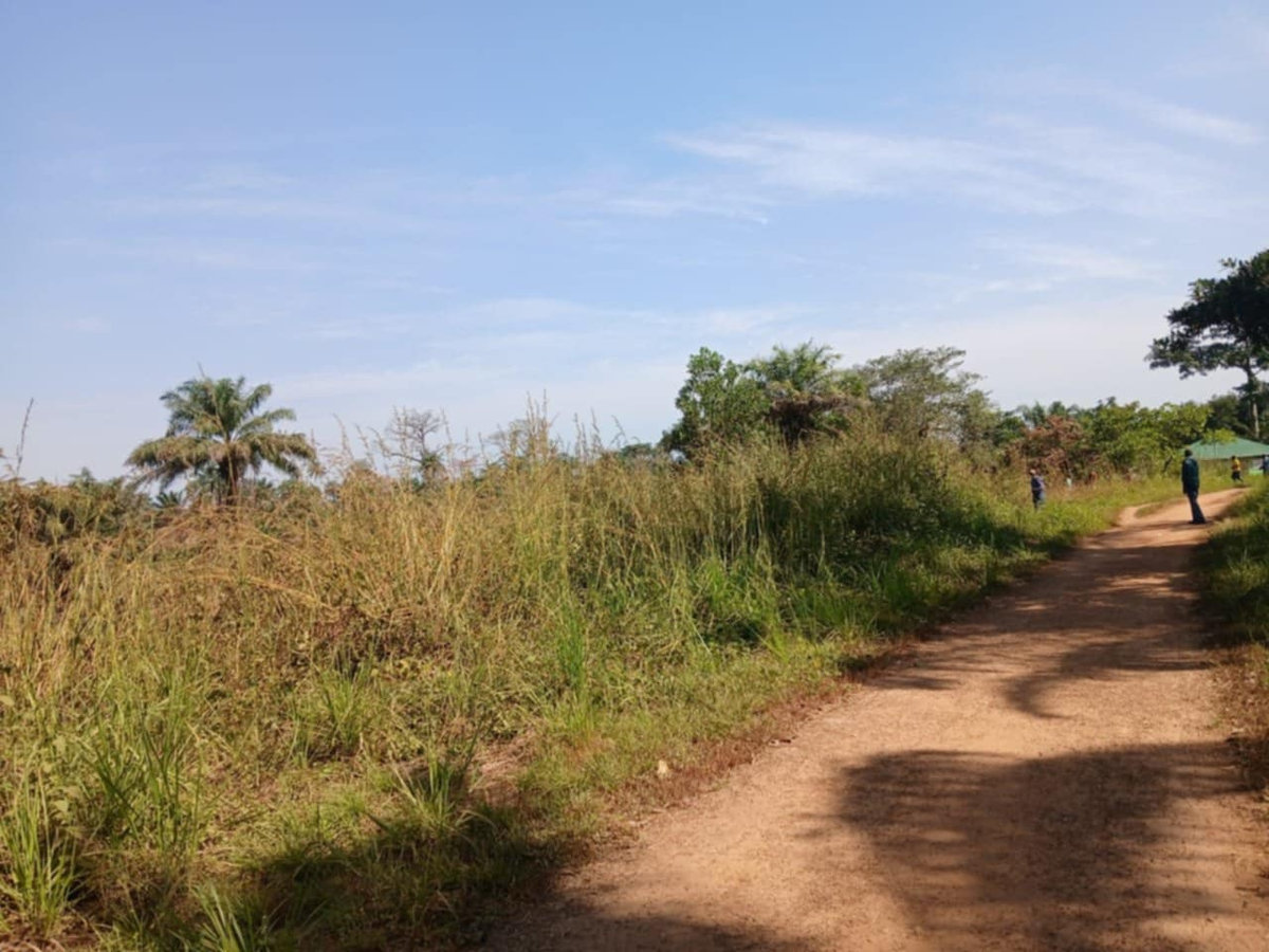 The road to the Salayea site